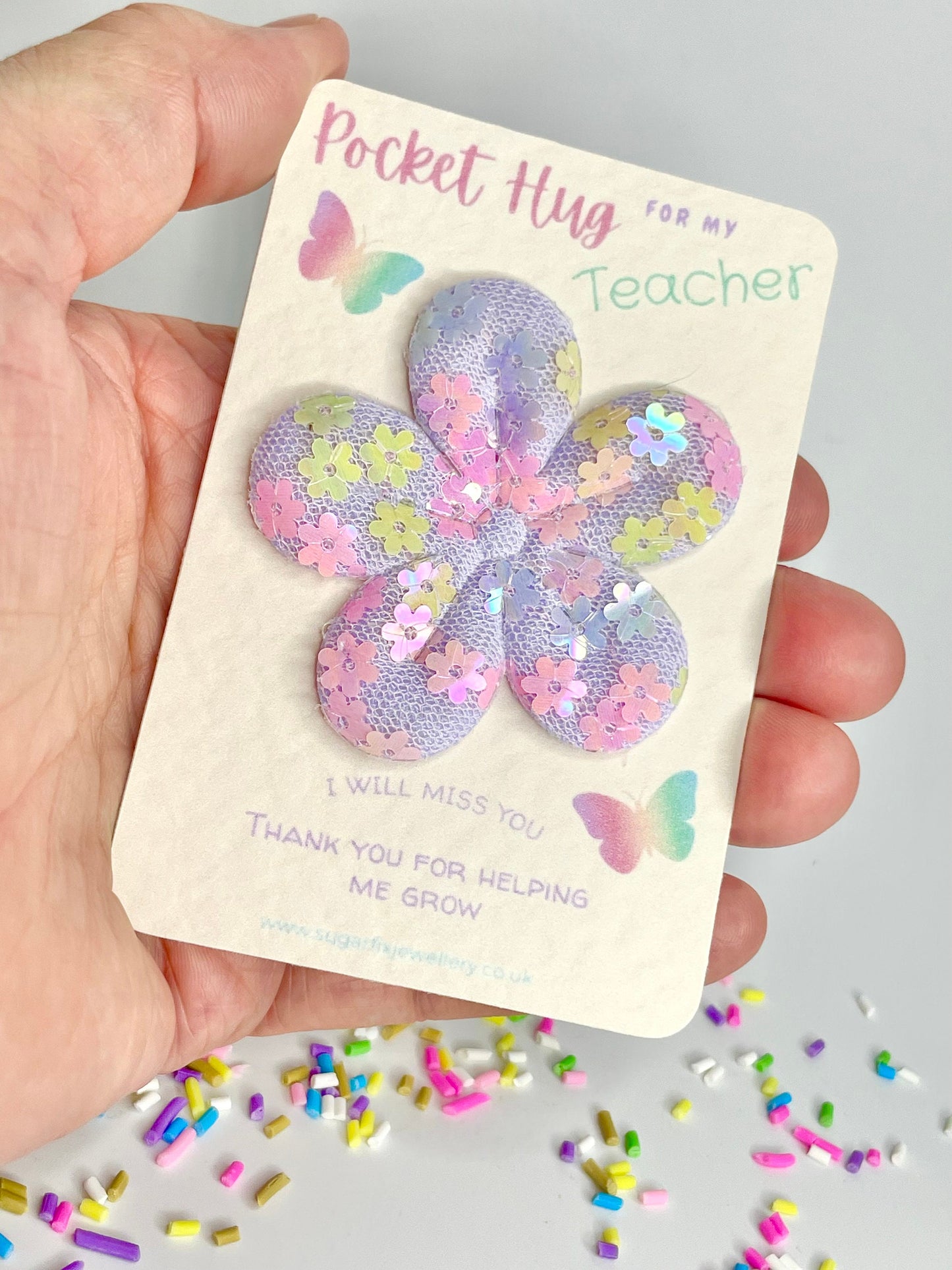Teacher Thank You Pocket Hug