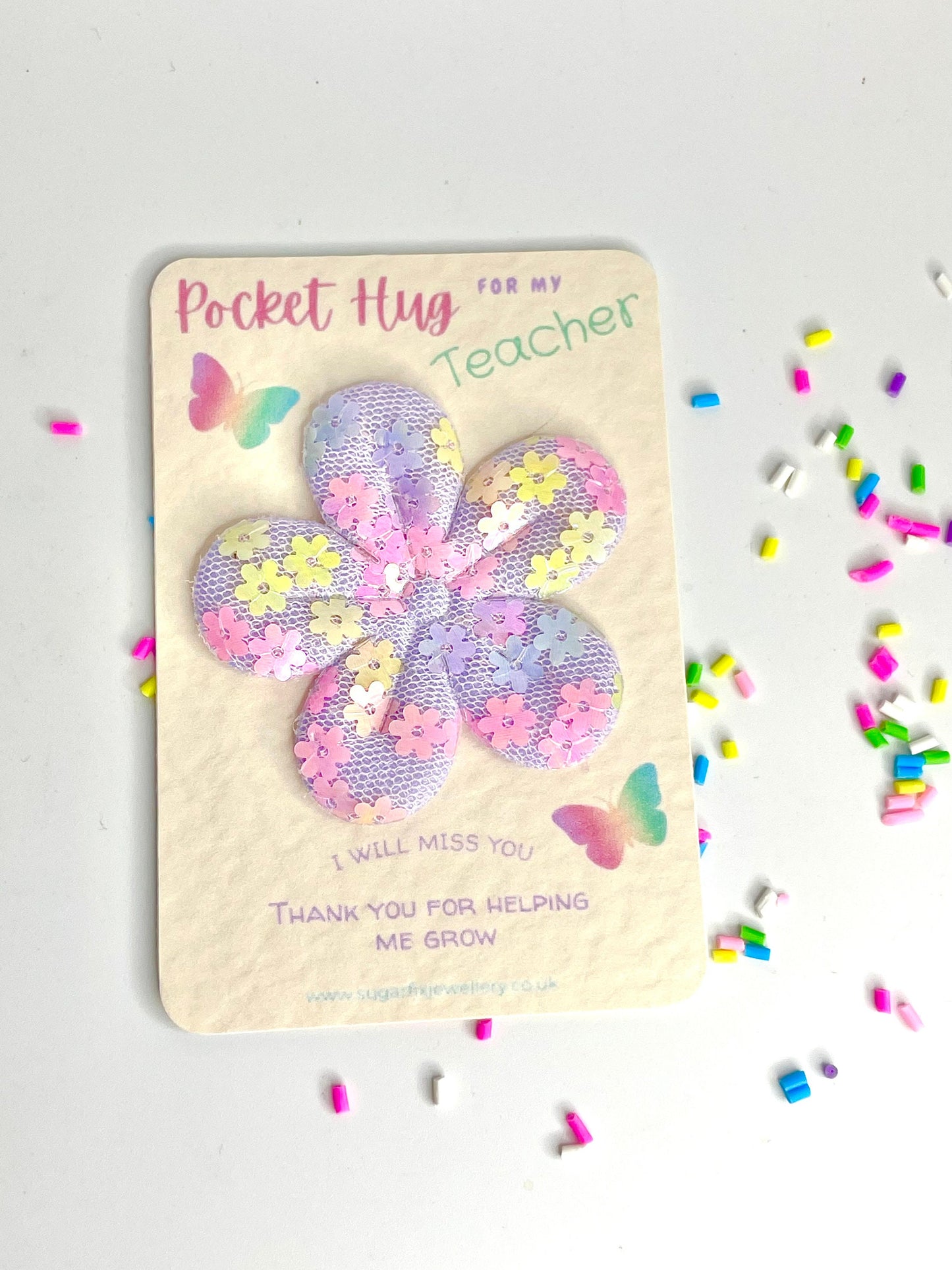 Teacher Thank You Pocket Hug