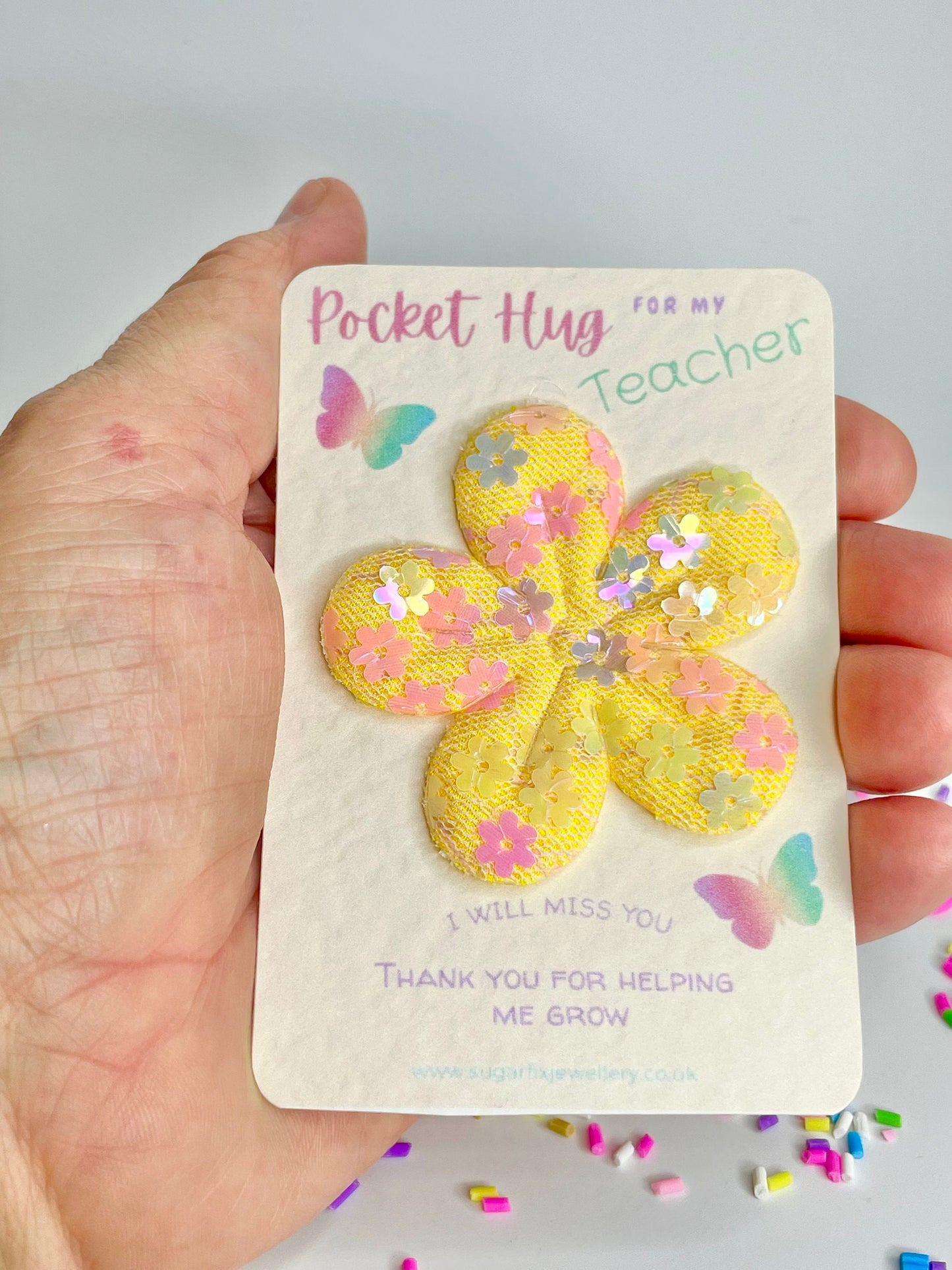 Teacher Thank You Pocket Hug