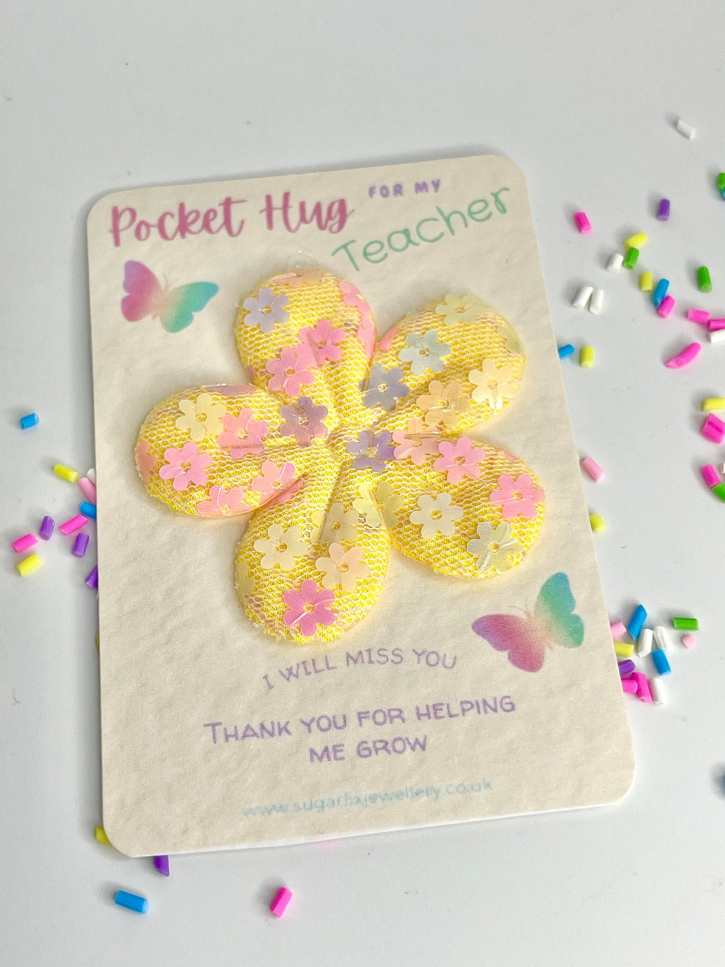 Teacher Thank You Pocket Hug