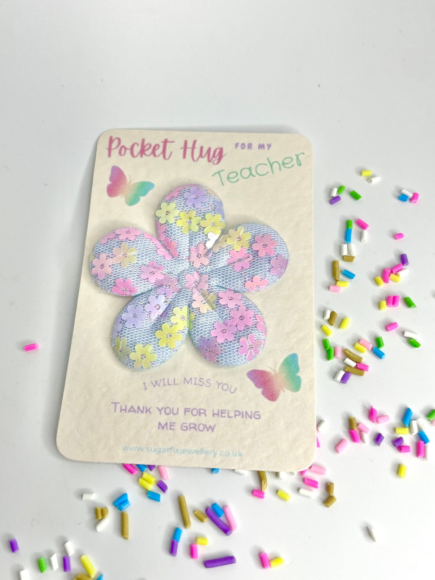 Teacher Thank You Pocket Hug