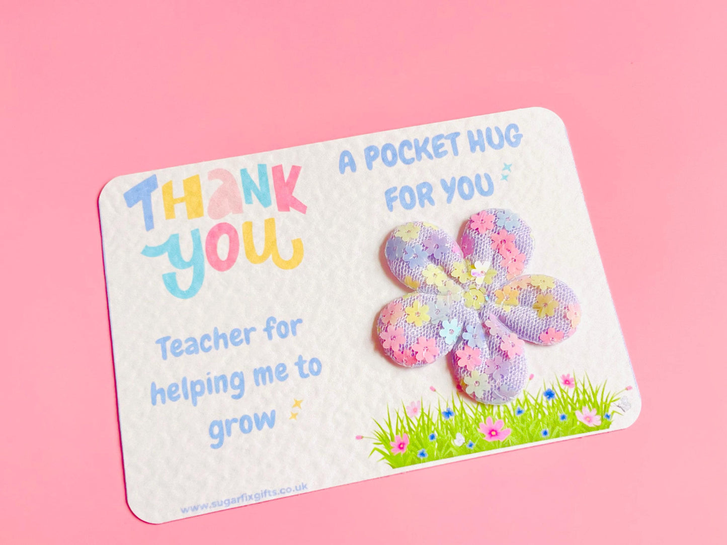 Large Teacher Thank You Pocket Hug