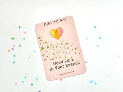 Exams Good Luck Pocket Hug