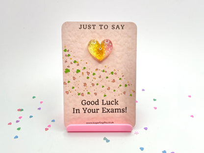 Exams Good Luck Pocket Hug