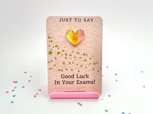 Exams Good Luck Pocket Hug