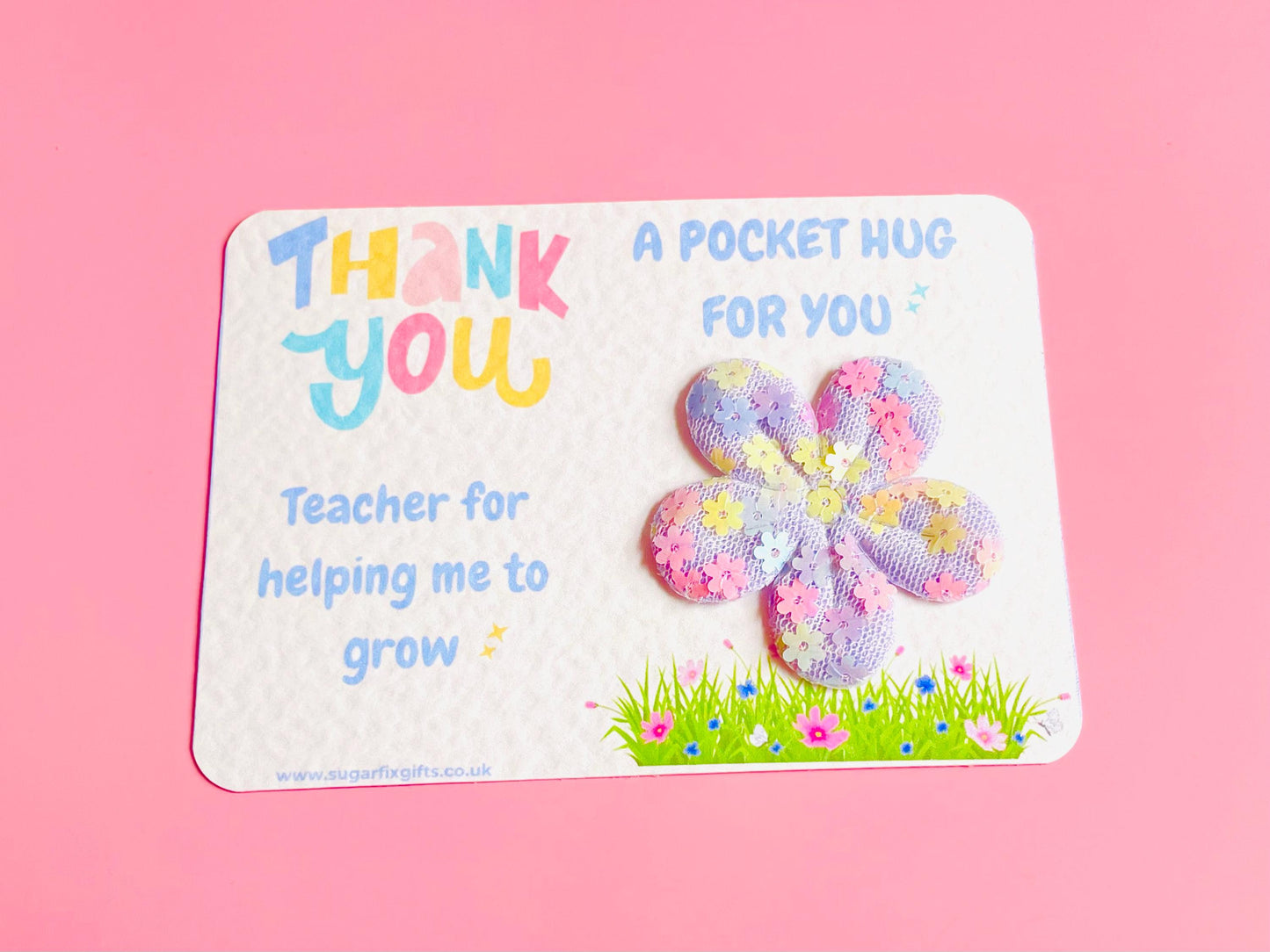Large Teacher Thank You Pocket Hug
